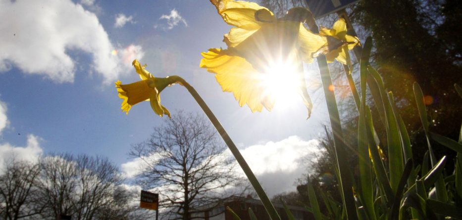 Parashikimi i motit për ditën e enjte