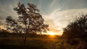 Vranësira dhe shira, ky është moti për të enjten