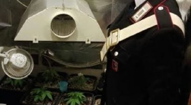 Arrestohet shqiptarja me burrin, ja si e kishin kthyer banesën ku jetonin (FOTO)