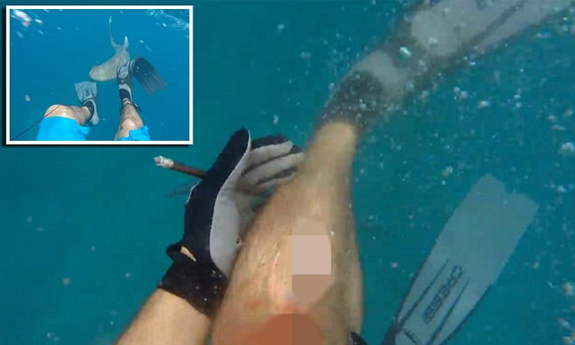 Sulmohet nga peshkaqeni, shpëton mrekullisht