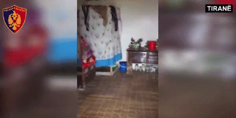 Drogë në banesën e tiranses, policia e arreston me burrin e motrës (VIDEO)