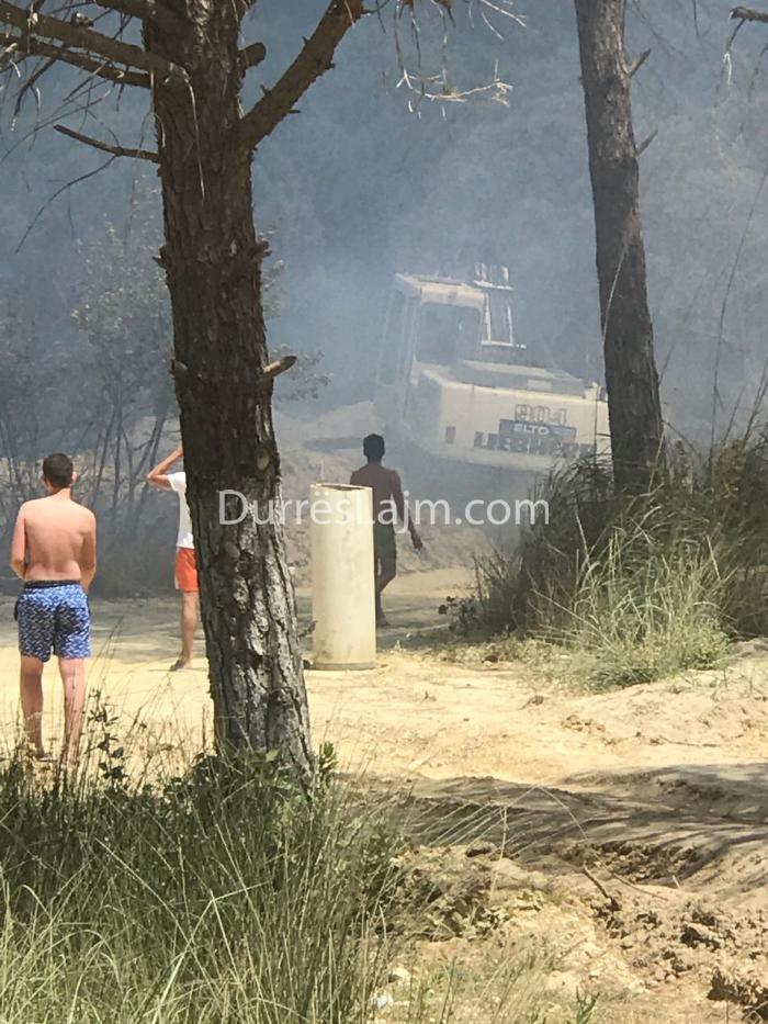 Zjarr i madh te Gjiri i Lalzit (FOTO+VIDEO)