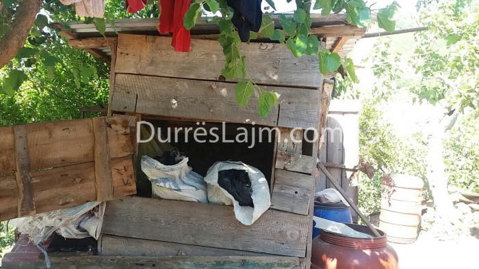 Policia e Durrësit sekuestron 38 kg kanabis, zbulohen babë e bir