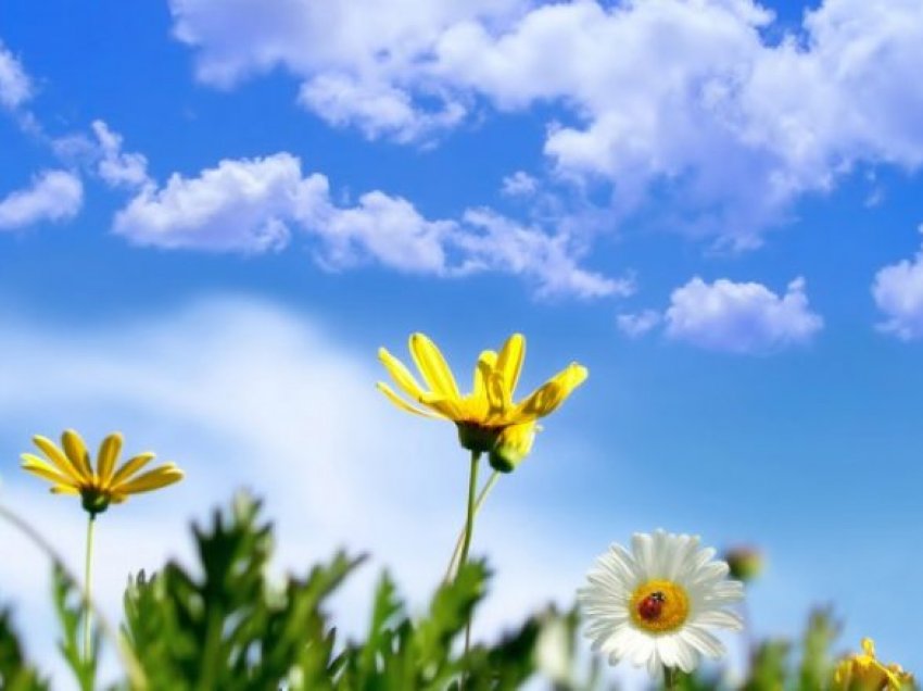 Parashikimi i motit 5 qershor 2017