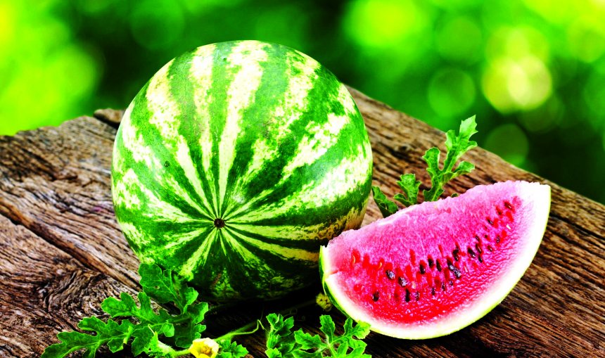 Bleu një shalqi, por u çudit nga ajo që pa brenda (FOTO)