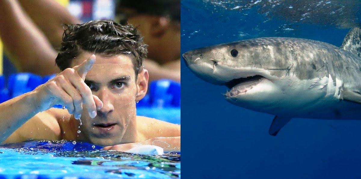 Çmenduria e fundit e Michael Phelps