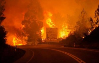 Zjarr masiv në Portugali, 24 të vdekur e dhjetëra të zhdukur (VIDEO)