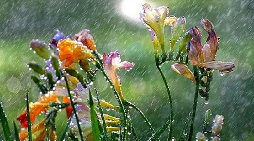 Moti në fundjavë, e diela do t’ju zhgënjejë