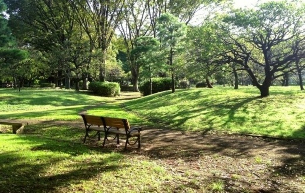 Parashikimi i motit për datën 19 qershor 2017