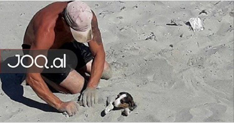 Burri i çudit të gjithë në Currila me atë që i bën qenit (FOTO)