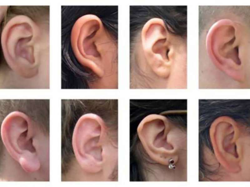 Çfarë tregon forma e veshit për karakterin tuaj