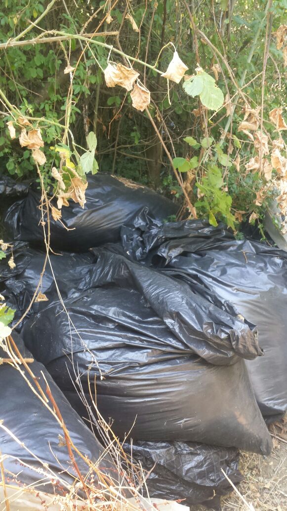 Vijon operacioni antidrogë, sekuestrohen 600 kg kanabis sativa (FOTO)