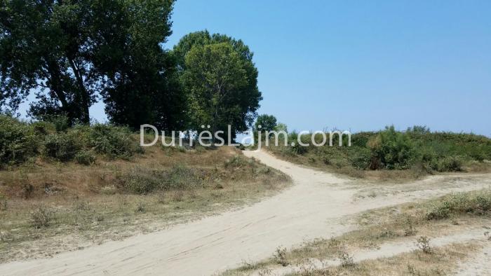 Ja vendi ku ndodhi krimi sot në Jubë të Durrësit, zbulohet shkaku i vrasjes