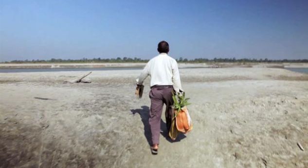 Mbolli pemë në të njëjtin vend çdo ditë, ja oazi që u krijua 37 vjet më pas (VIDEO)