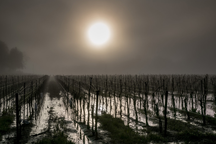 Vapa që po sjell apokalipsin, është më keq nga ç’mendoni! Shkrimi që po trondit botën
