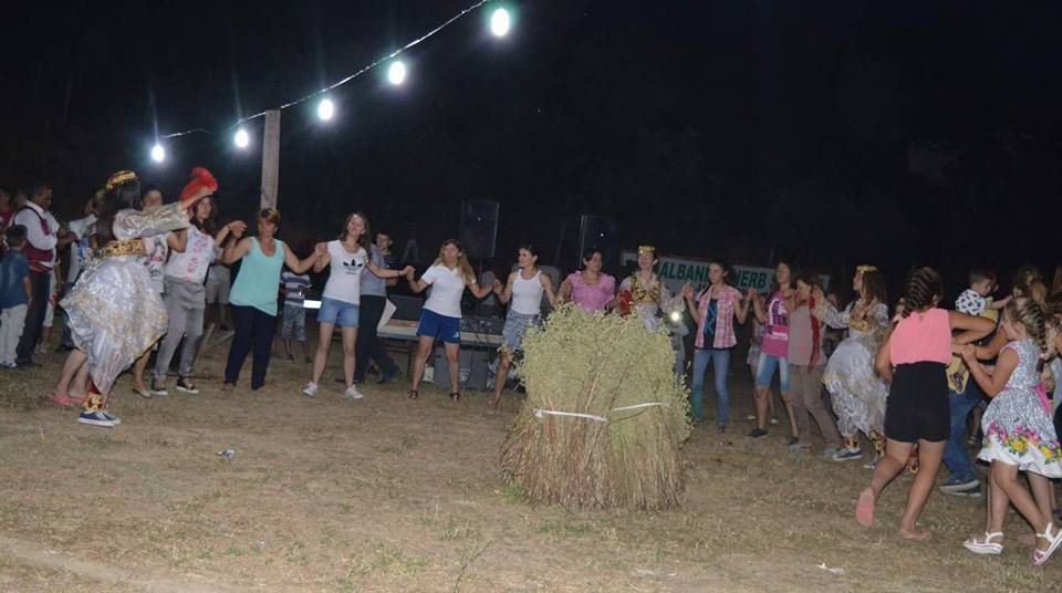 Fshati shqiptar që prodhon 100 tonë rigon në vit (FOTO)