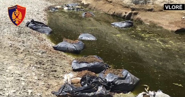 Trafikantët hedhin sasi të madhe droge në lumin Shushicë (VIDEO)