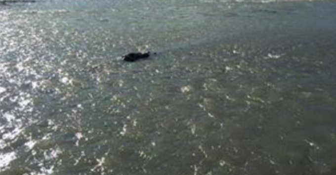 Mbytet në lumë 9-vjeçari, nëna përpiqet ta shpëtojë