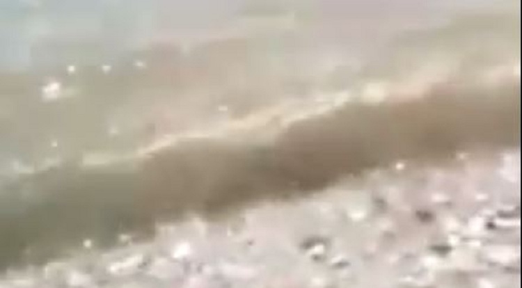 Berisha publikon videon: Nafta po ndot plazhet e jugut!