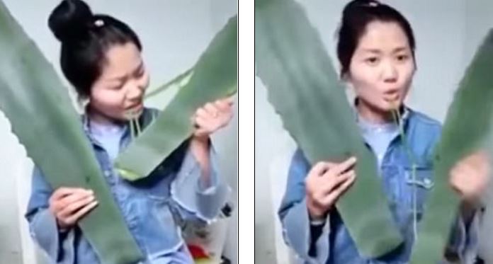 Mendoi se ishte aloe vera, 26-vjeçarja helmohet live pasi han bimën