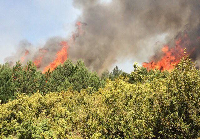 12 vatra në 24 orë, ja situata në të gjithë vendin