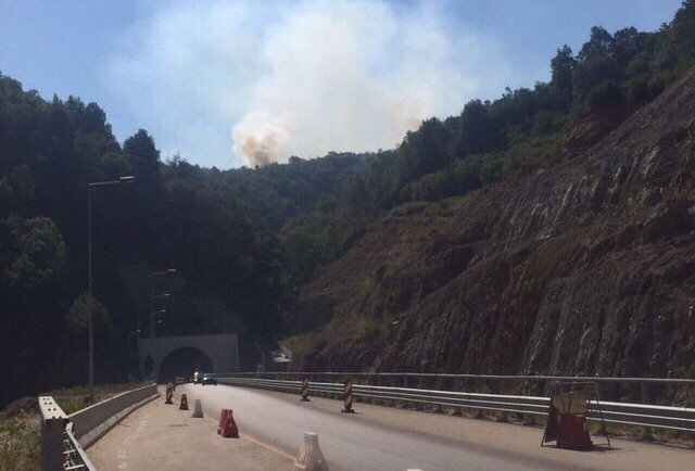 Arrestohen të rinjtë që vunë zjarrin mbi tunelin e Krrabës