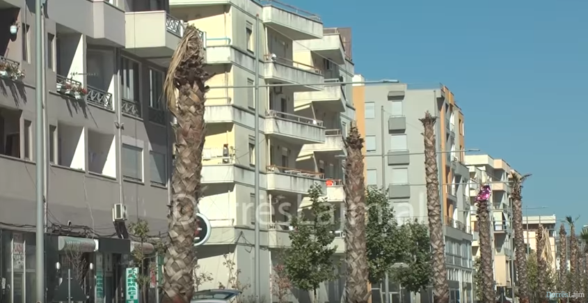 Temperaturat &#8216;përcëllojnë&#8217; pemët në Durrës (VIDEO)