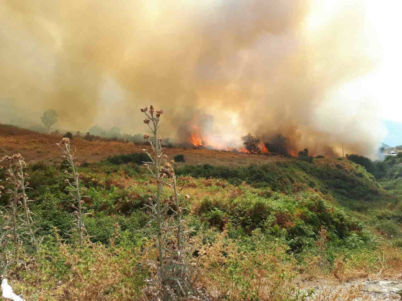 Zjarre nga veriu në jug, vazhdon rreziku i flakëve në Shqipëri