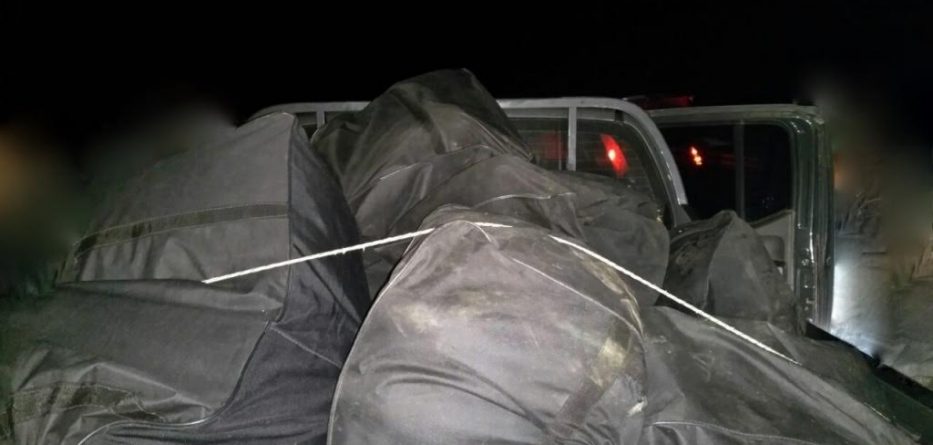 Trafikantët shqiptarë kapen në mes të pyllit me 180 kg kanabis