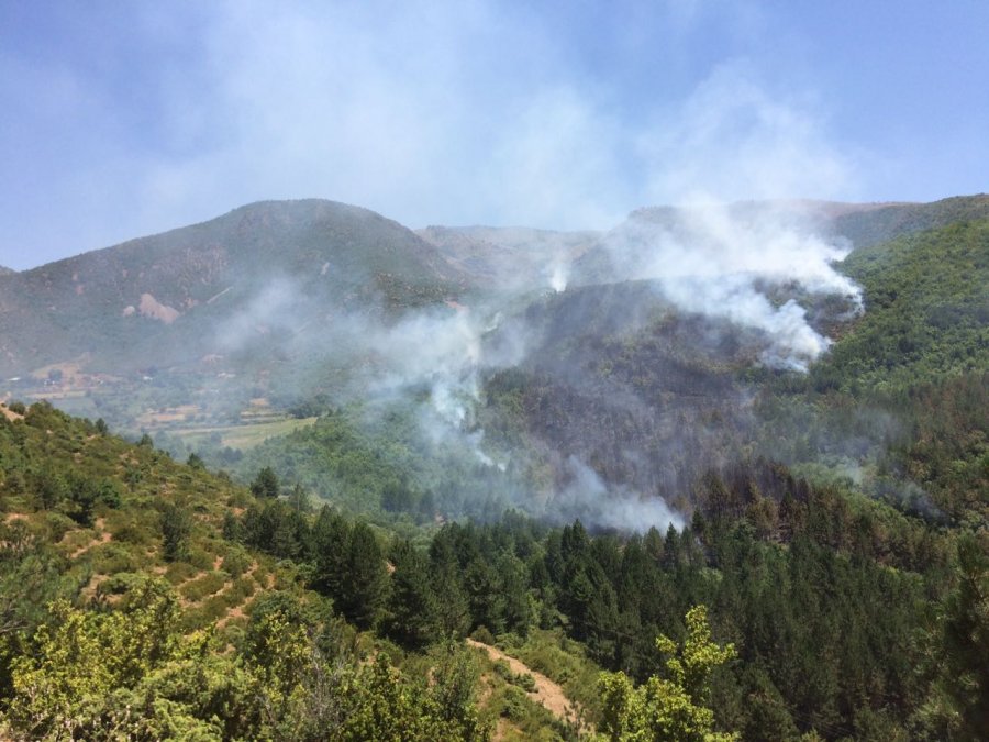 Zjarret, bie numri i vatrave
