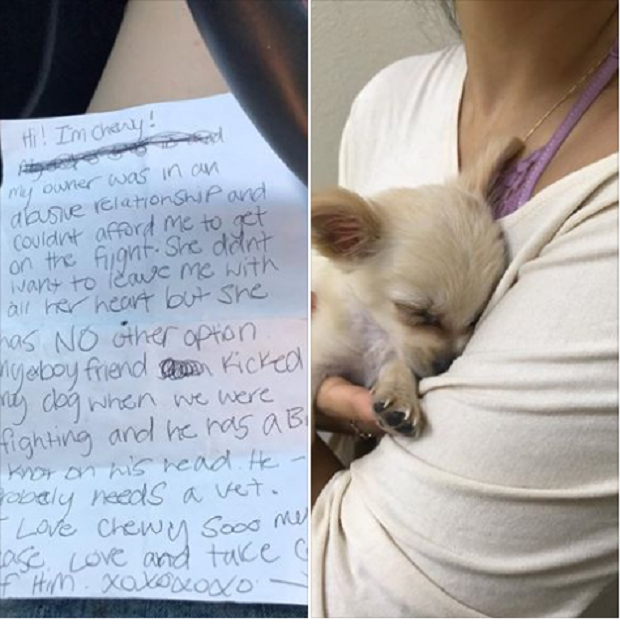 Braktisi qenushin në aeroport, letra e pronares do ju bëjë për të qarë