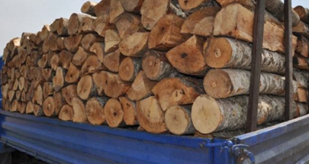 Durrës, pret pyjet e ngarkon furgonin me dru, në pranga shoferi, procedohet edhe pasagjeri