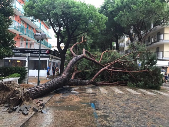 Çmendet moti në Itali (FOTO)