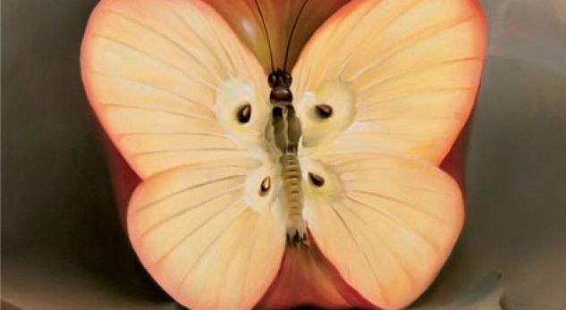 Imazhi i parë që shihni në këtë foto zbulon frikën tuaj më të madhe