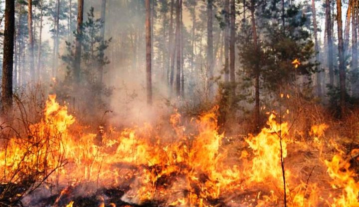 Zjarr pranë Syrit të Kaltër, në rrezik zona turistike