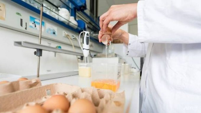 Edhe në Itali zbulohen raste të vezëve të kontaminuara