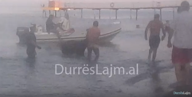 Tërbohet viçi në Durrës, me vrap nga Bashkia te Sfinksi, lahet në det dhe plagos një person (VIDEO+FOTO)