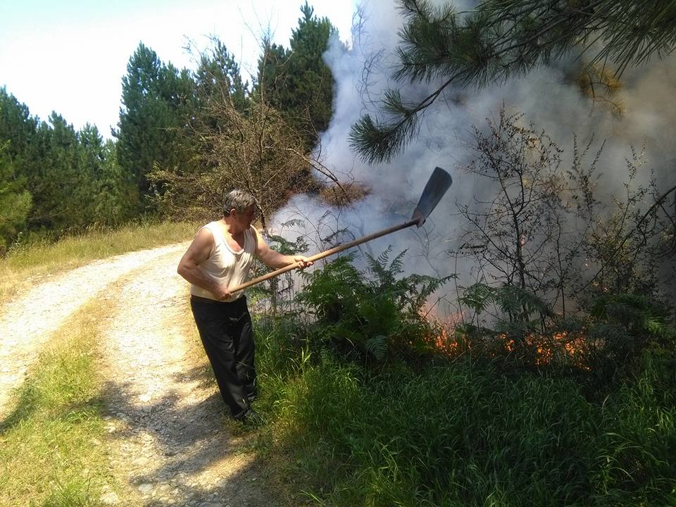 Deputetja e LSI-së, sugjerim Ramës: I them kryeministrit…