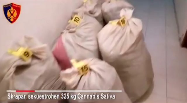 Nuk ndalet droga në Skrapar, sekuestrohen 325 kg kanabis
