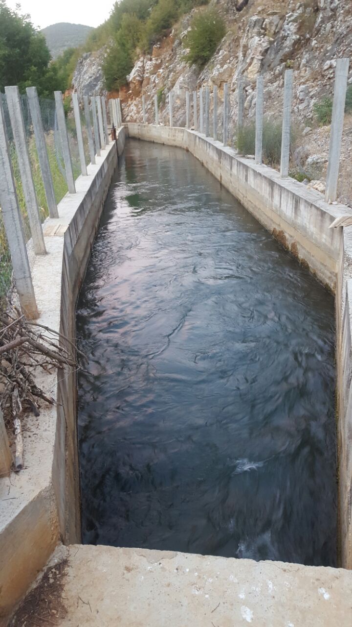 I mituri që u mbyt në rezervuar, jetonte në Durrës