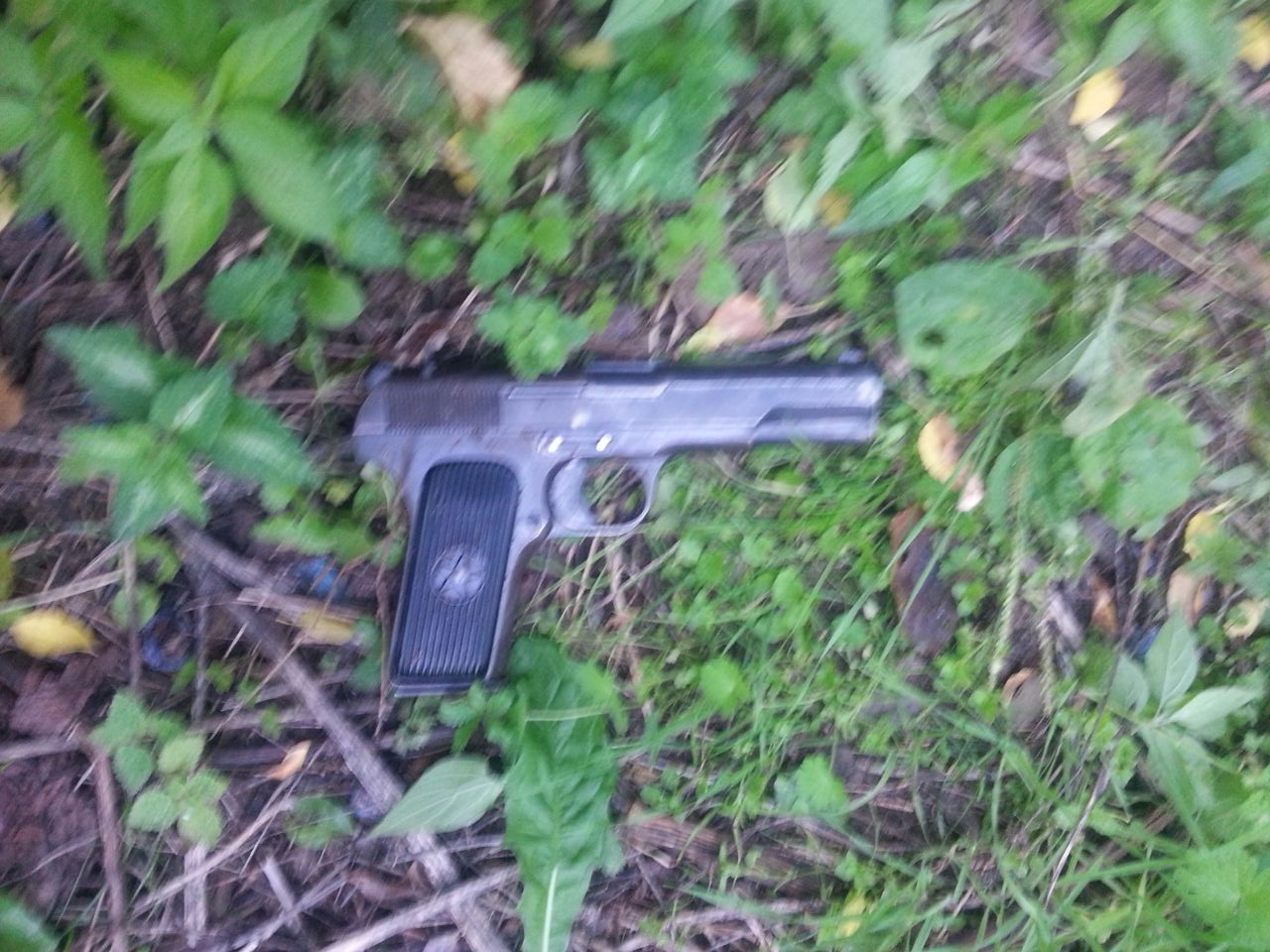 Gjyshja fsheh nipin e armatosur, 26-vjeçari hedh pistoletën nga dritarja