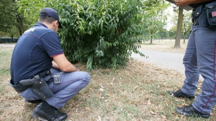 E rrallë në Itali, përdhunohet 81-vjeçarja në pyll