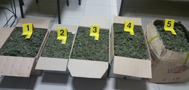 Kapen 67 kilogramë drogë në kufirin Shqiptaro-Grek, pranga 3 të rinjve