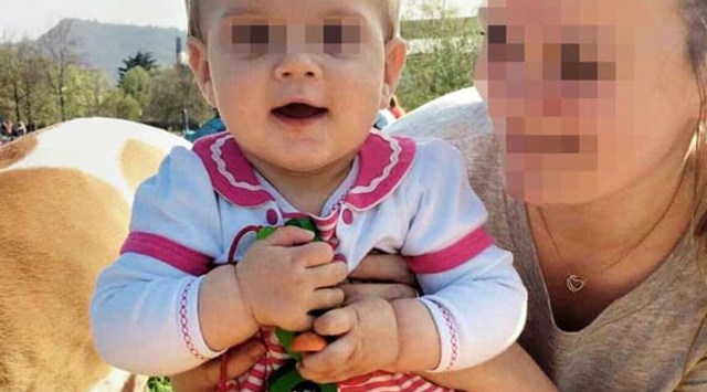 Vogëlushja u masakrua nga qentë pitbull, prokuroria nis hetimet për gjyshin shqiptar (FOTO)