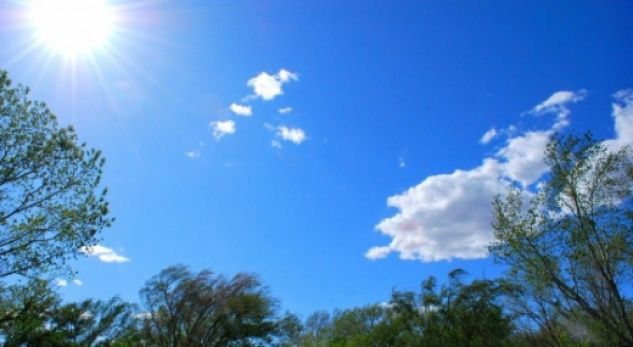 Zonat që rrezikohen nga vranësirat, sa shkojnë temperaturat