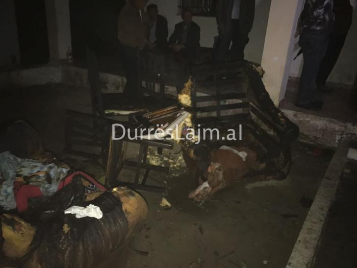 Kjo është shtëpia ku u konsumua tragjedia e 3-fishtë në Durrës, ja pse ra zjarri (FOTO)