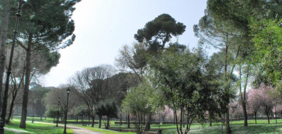 Turistja në Itali lidhet në pemë dhe përdhunohet në mes të parkut