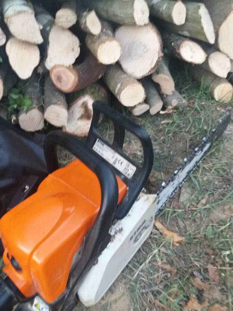 Vijon “Roja i Gjelbër”, policia e Durrësit nis procedimin ndaj 4 inspektorëve dhe 4 personave