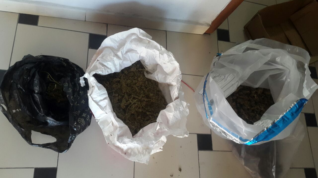 Durrës, goditet një rast prodhim-shitje marijuane, 1 në pranga