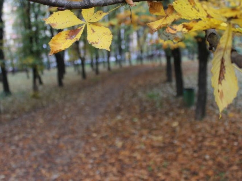 Parashikimi i motit 29 tetor 2017